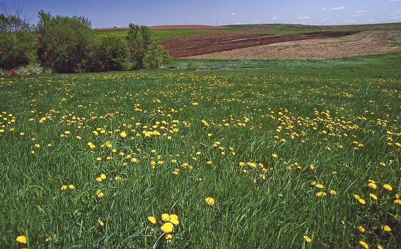1993-06 Hager City 08.jpg